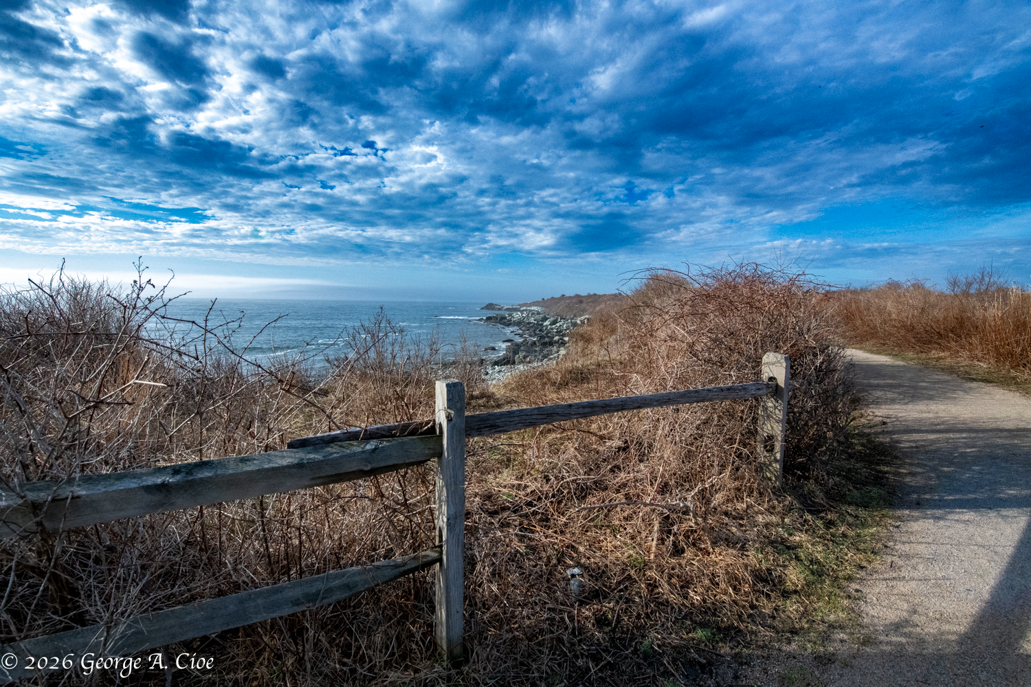 The Detail That Apparently Was the Whole Point Uncovered