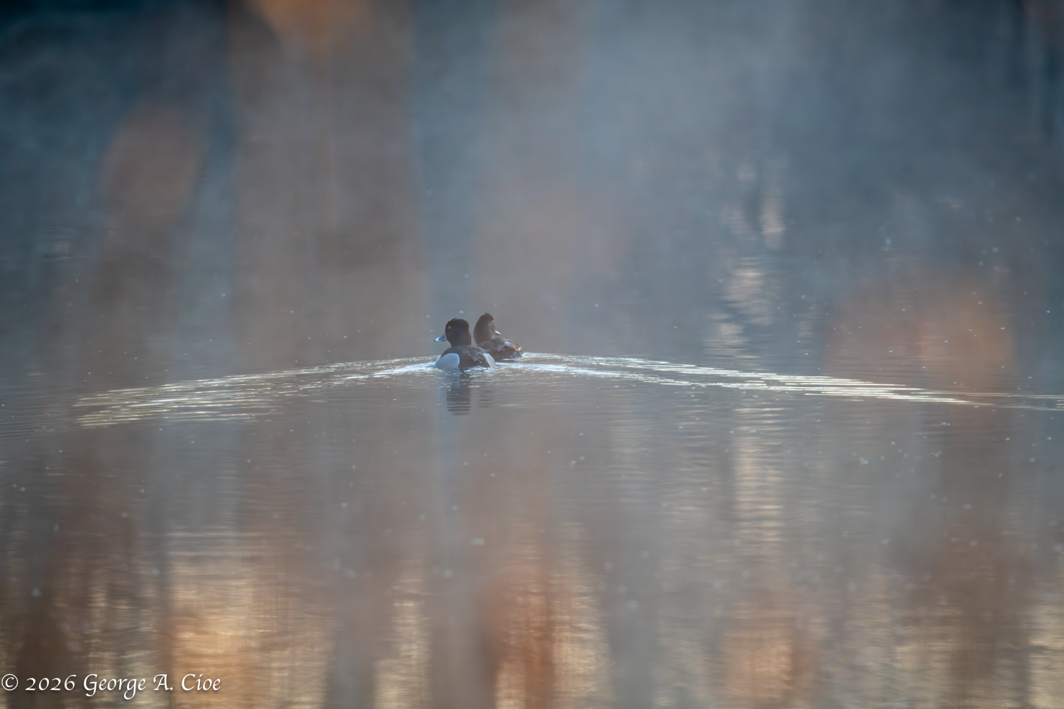 Smoke, Mirrors… and a Little Bit of Mischief in Photography
