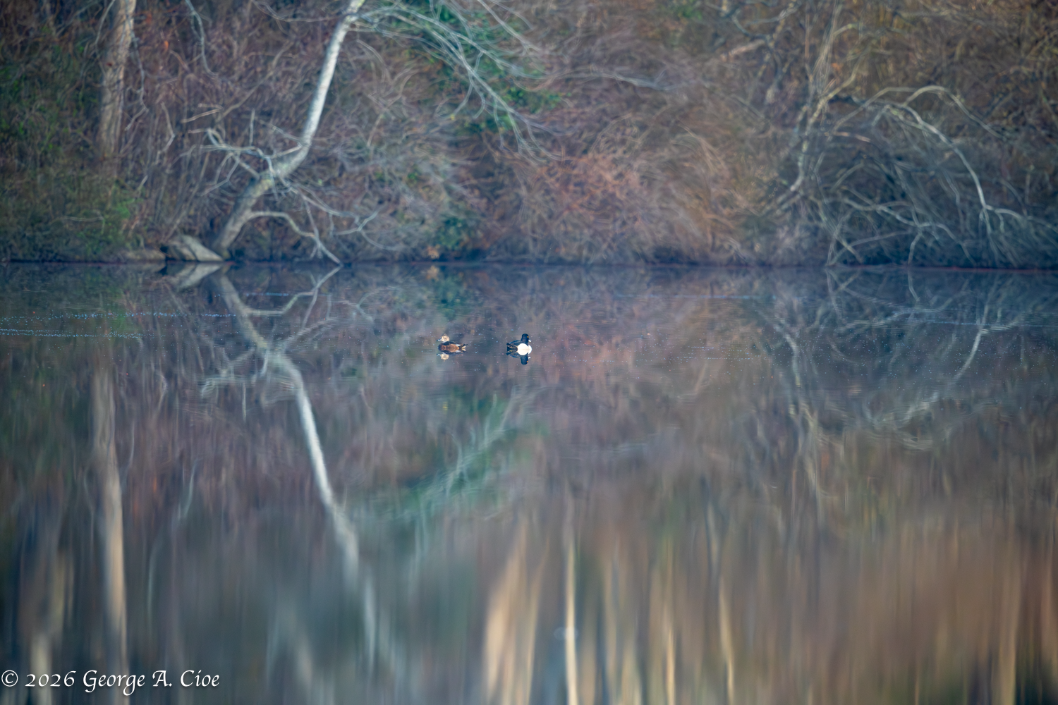 Some Mornings Are Special—No Explanation Required