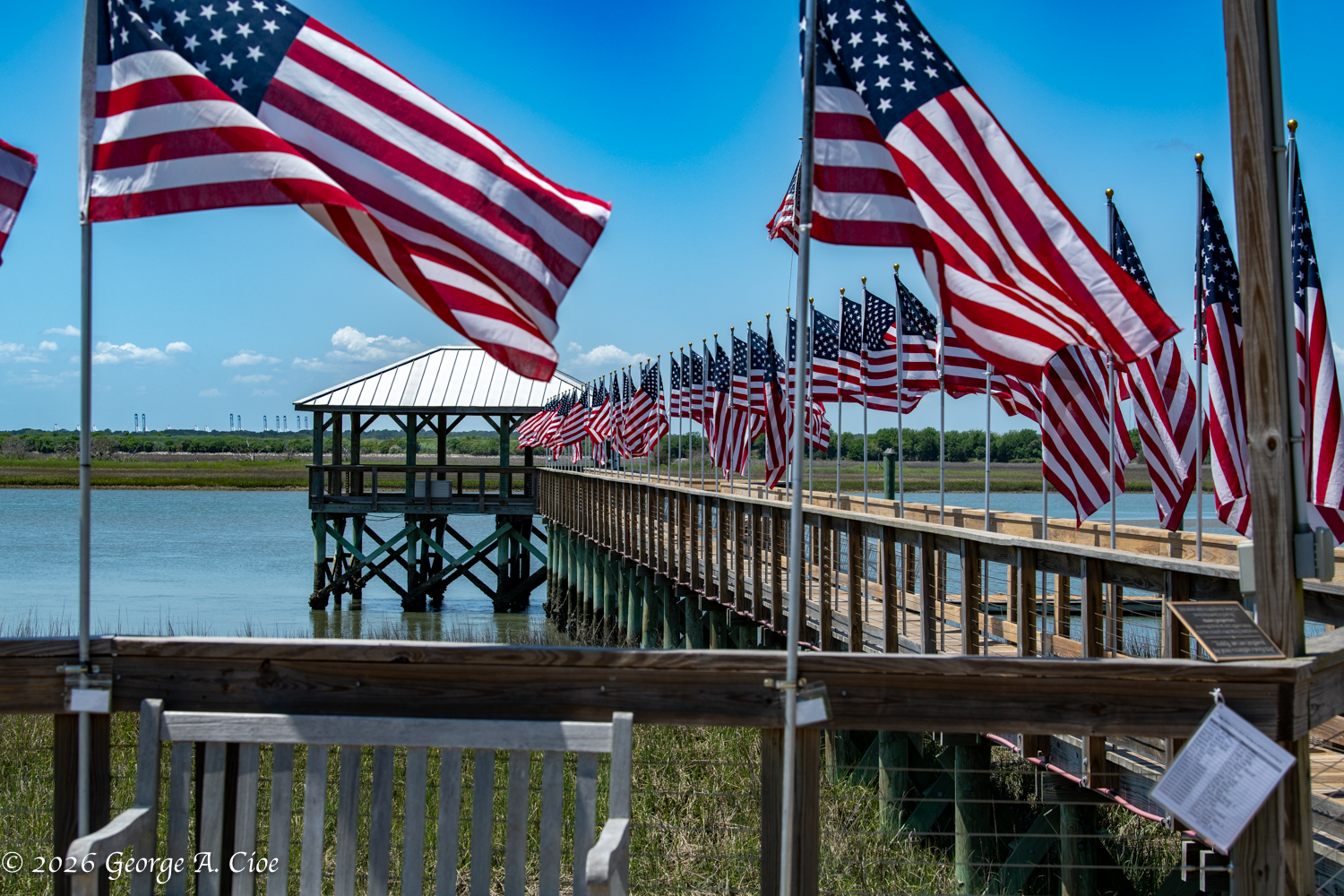 The Pursuit of Freedom along the South Carolina Coast