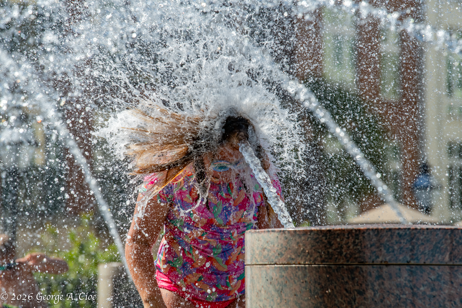 The Fountain of Youths