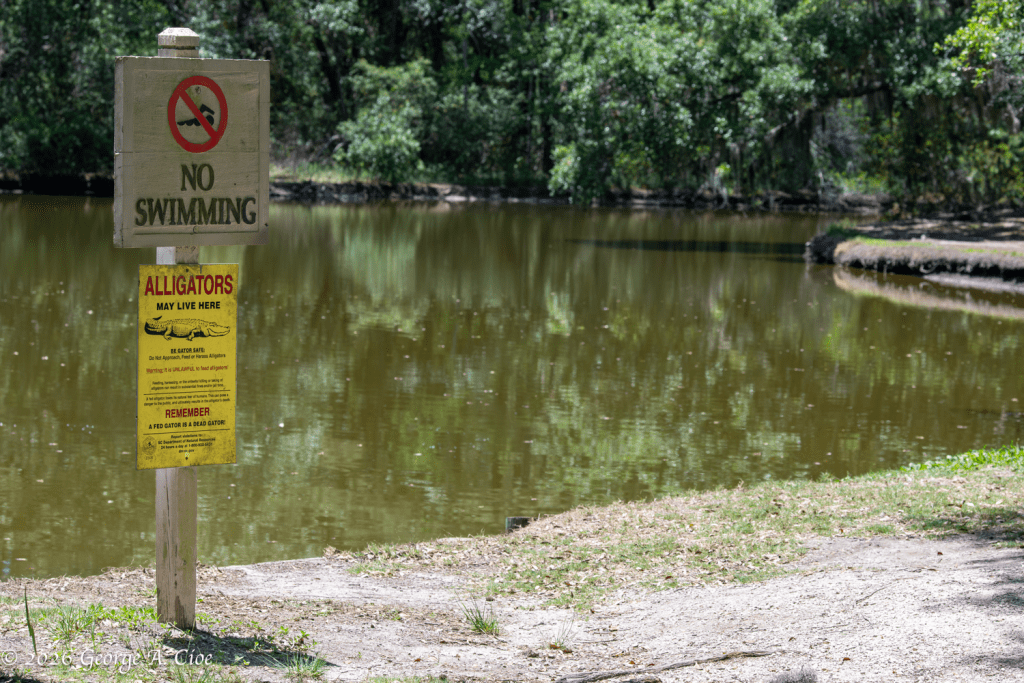 "Official Welcome Message From The Reptile Union" James Island County Park