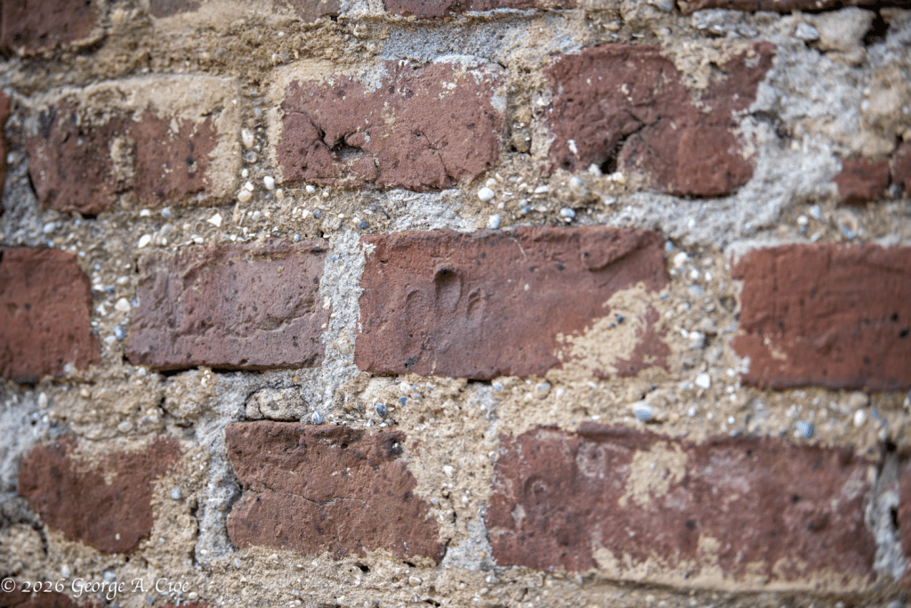 "Echoes in Clay" Salve's finger impressions