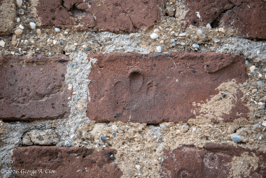 "Pressed Into History" Impressions of a slaves fingers