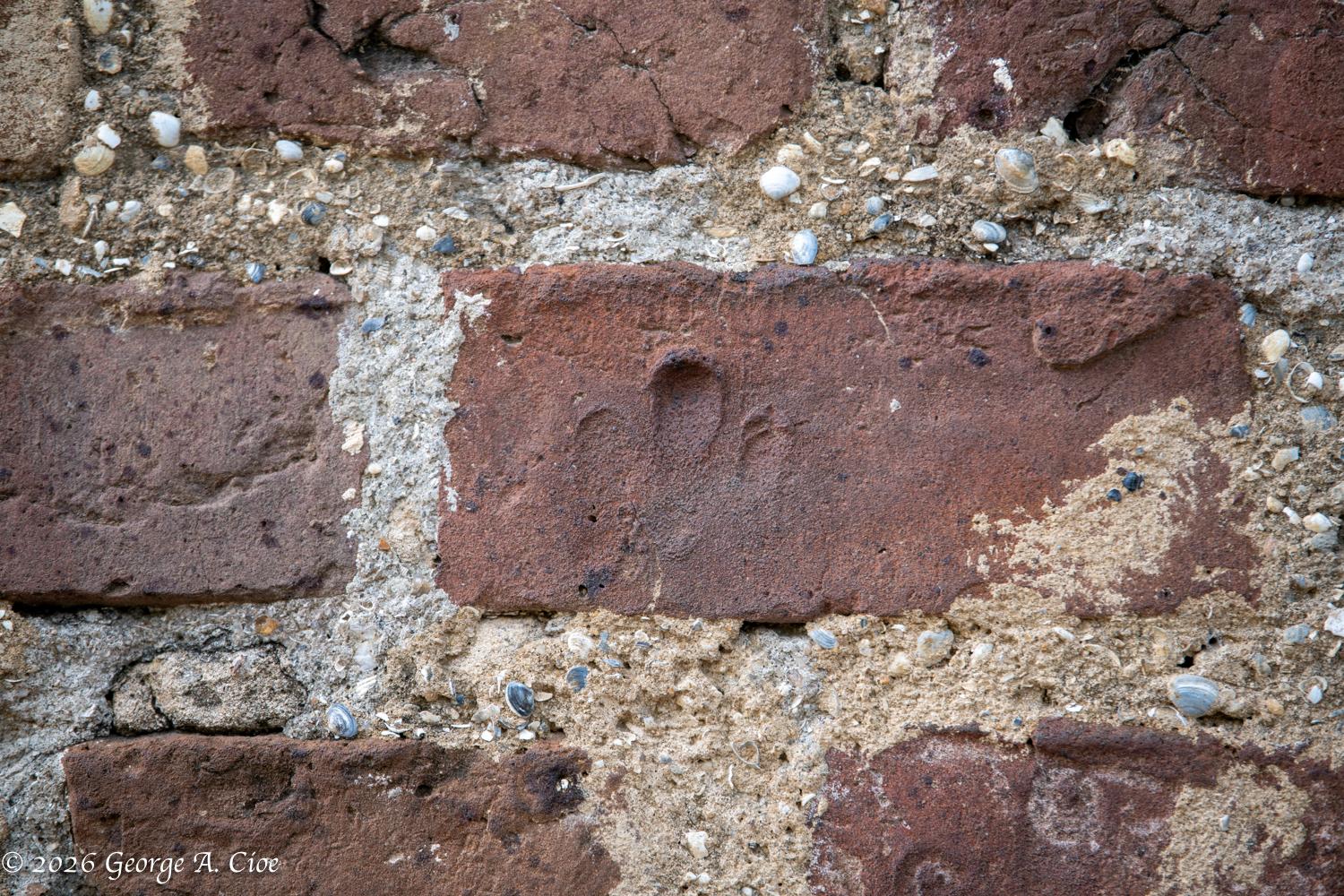 "Pressed Into History" Impressions of a slaves fingers