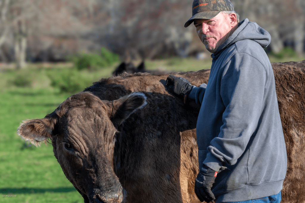“The Cow Whisperer” Jeff Farrell