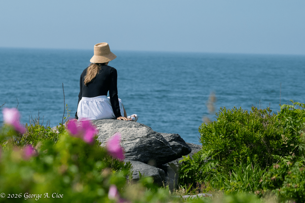 "The Questions We Create" Lady By The Sea