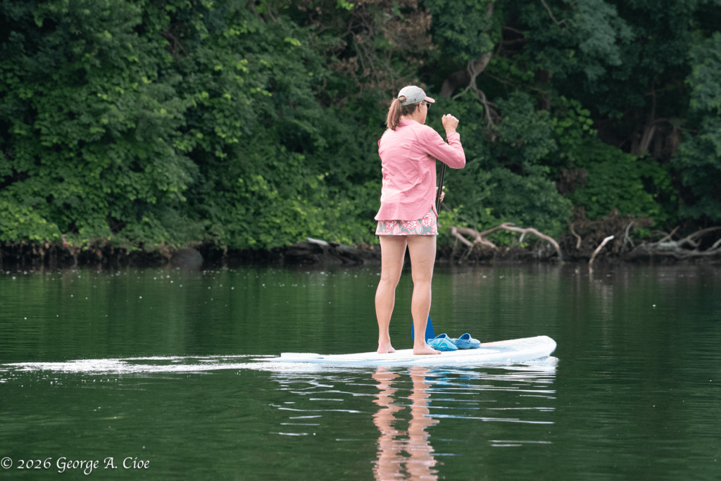 "Standing Above the Chaos" Narrow River