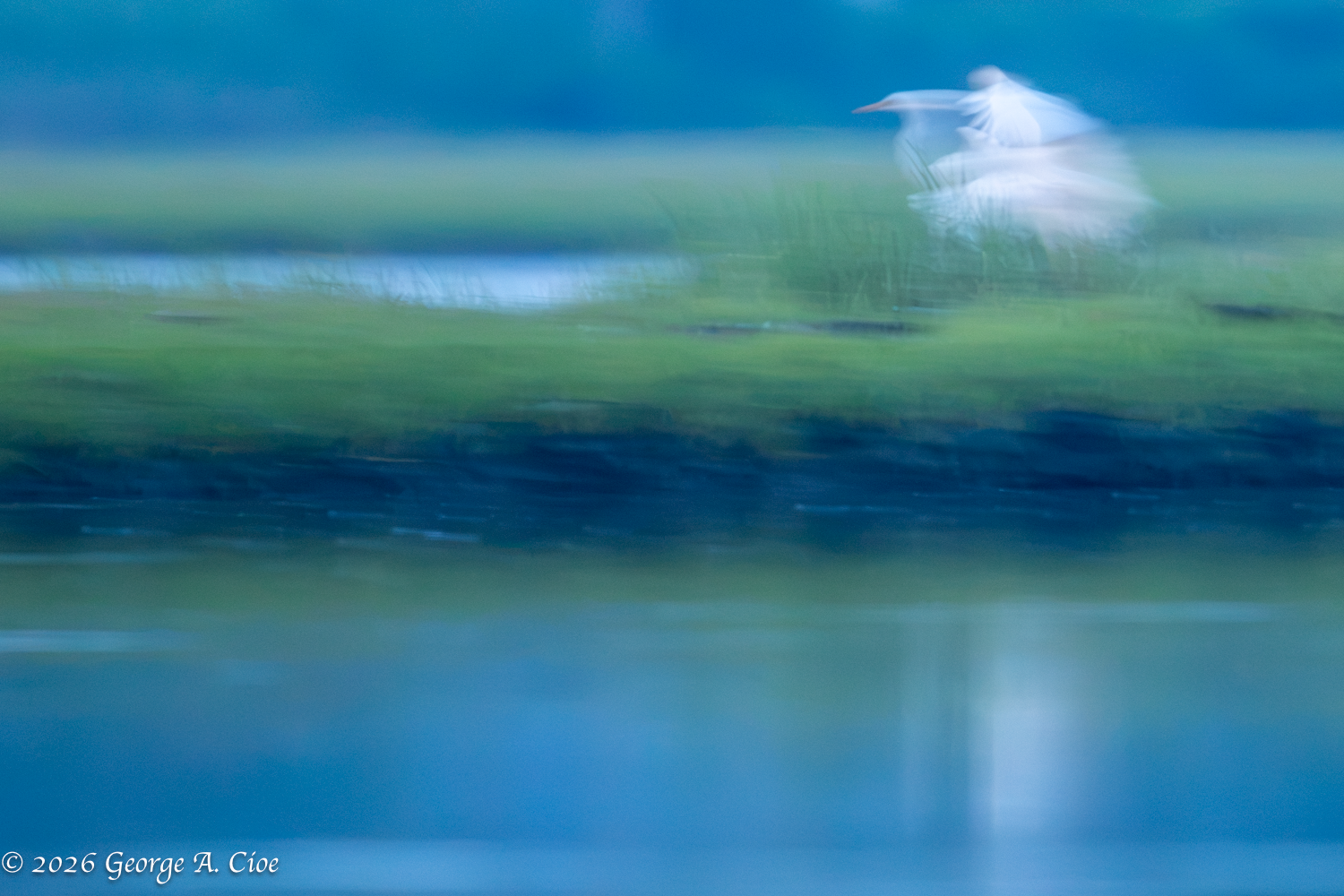 Whispers Before Sunrise: Capturing Moments of Beauty