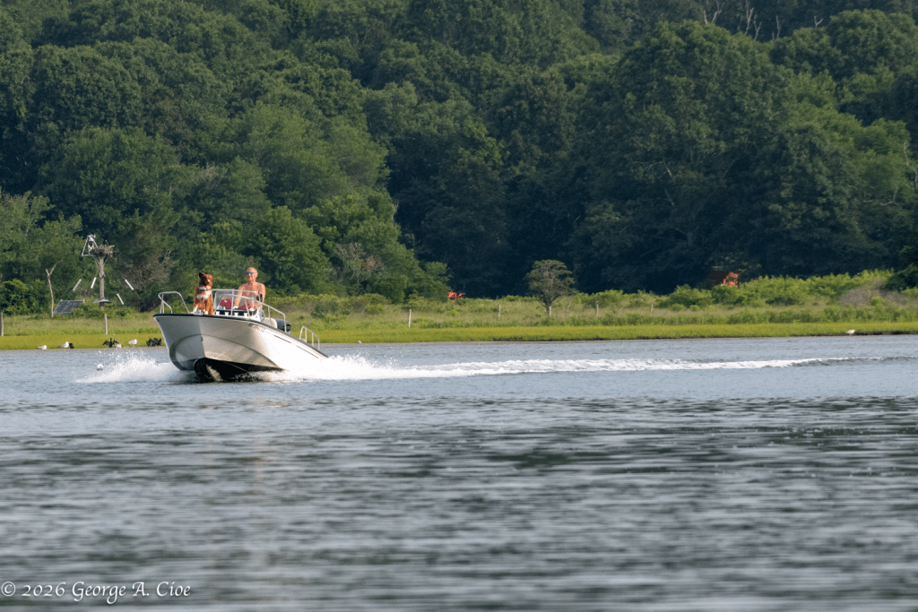 "Captain and First Mate" Narrow River