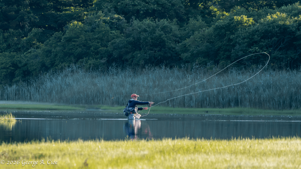 "Fishing the Edge of Forever" Narrow River