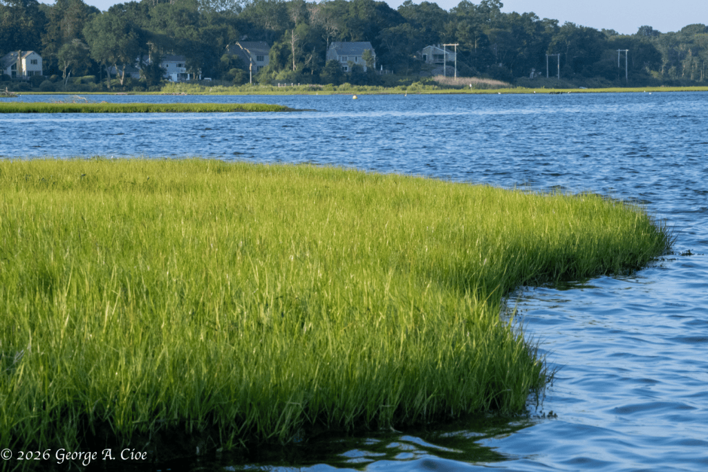 "The Green Velvet Begins" Narrow River