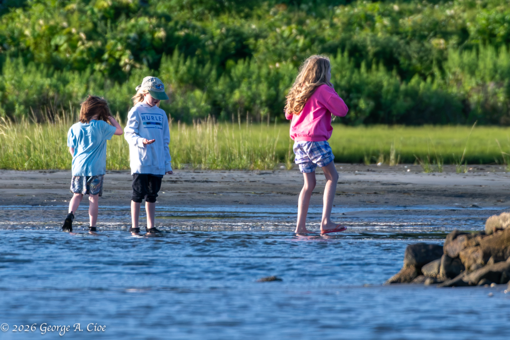 The Real Treasure Hunters (Children exploring the mudflats)