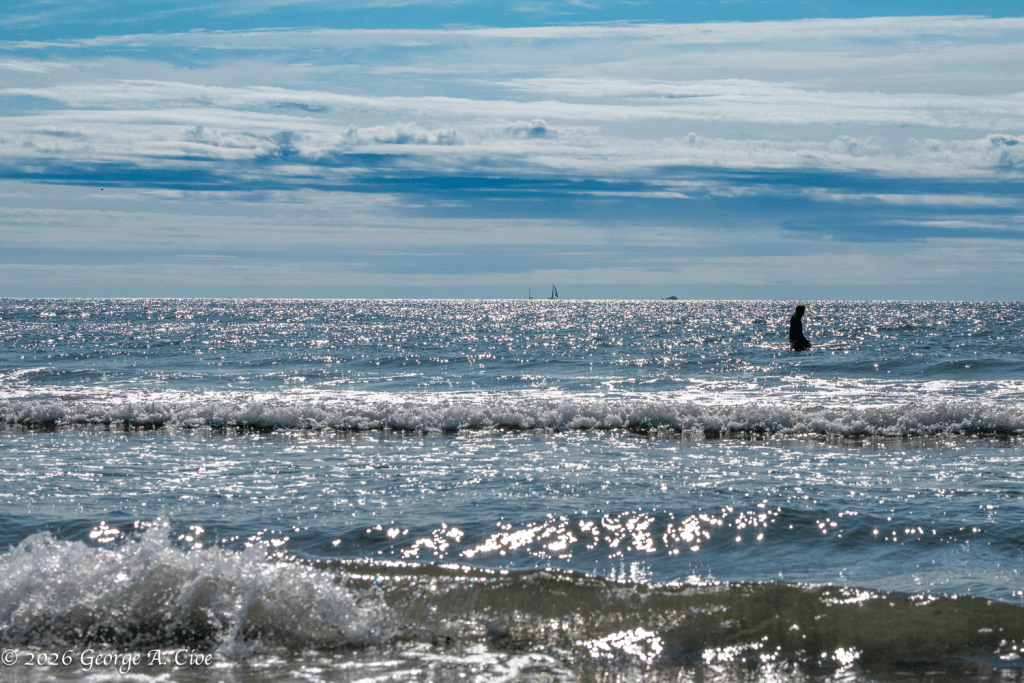 "Diamonds on the Atlantic" Narragansett Town Beach