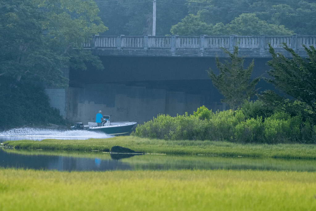 “Under Sprague Bridge”