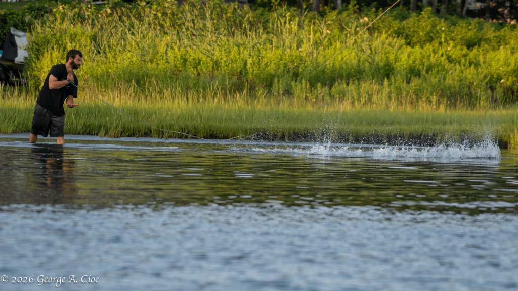 “Bullseye” Perfect Cast on Narrow River