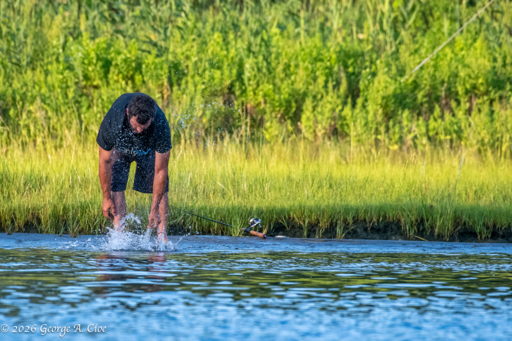 "Gone in a Splash" Perfect Release of a Flounder