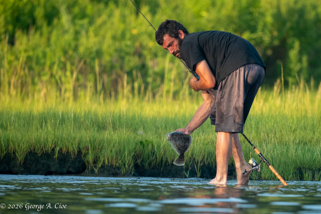 “The Measure of a Sportsman” Flounder on Narrow River