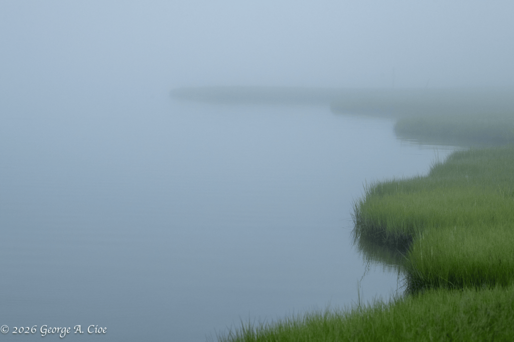 "A Small Light in the Gray" Narrow River