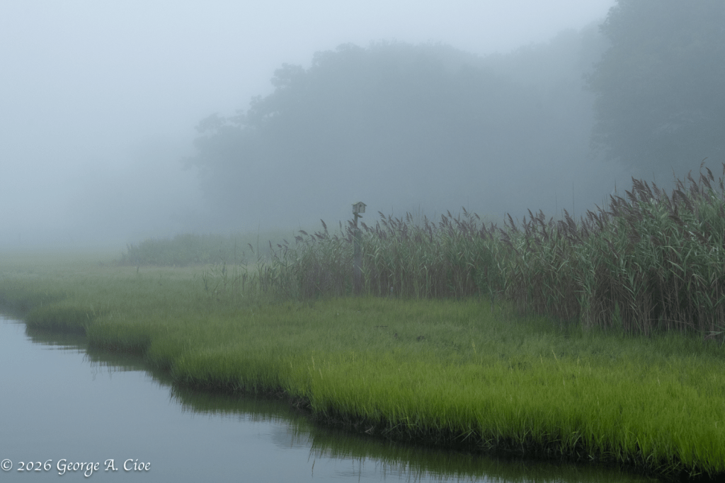 “The Last House in the Fog” Middlebridge Birdhouse