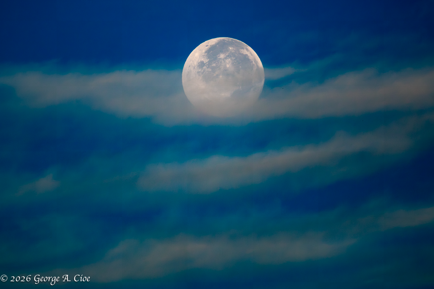 Moonlight Revelations