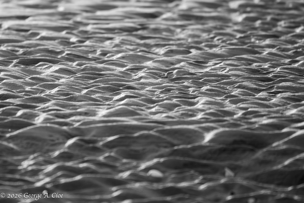 "The River Remembered" Narrow River