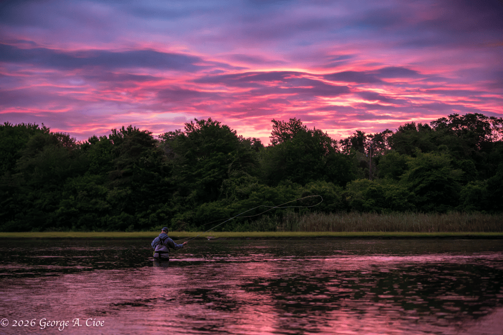 "Casting Into the Dawn" FlyFishing on Narrow River
