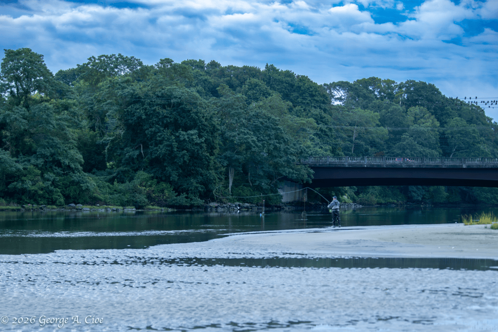 "The River Reveals Itself" FlyFishing on Narrow River