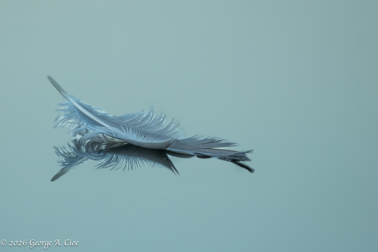 "Impermanence"