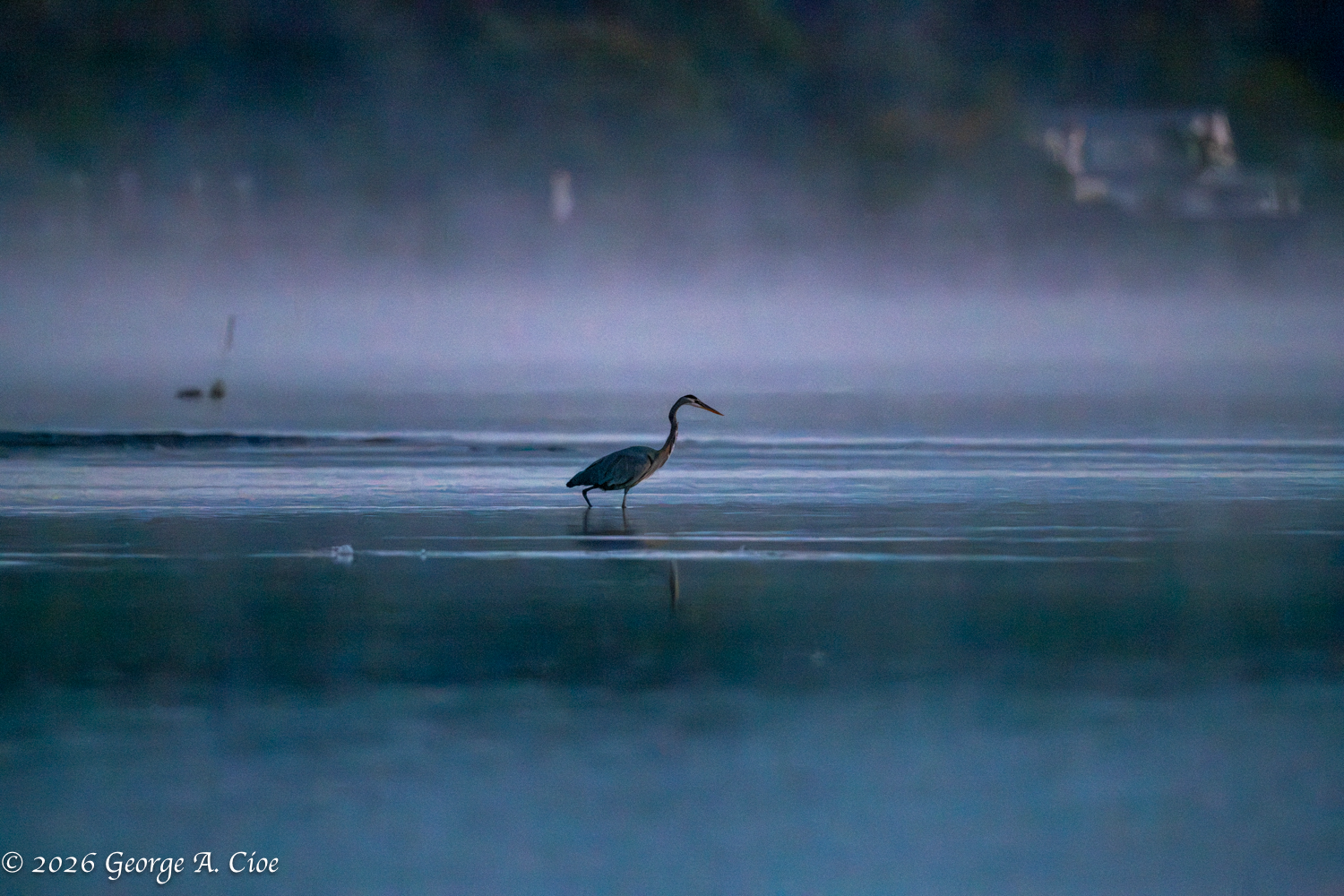 Beyond the Mist, Morning Is Coming