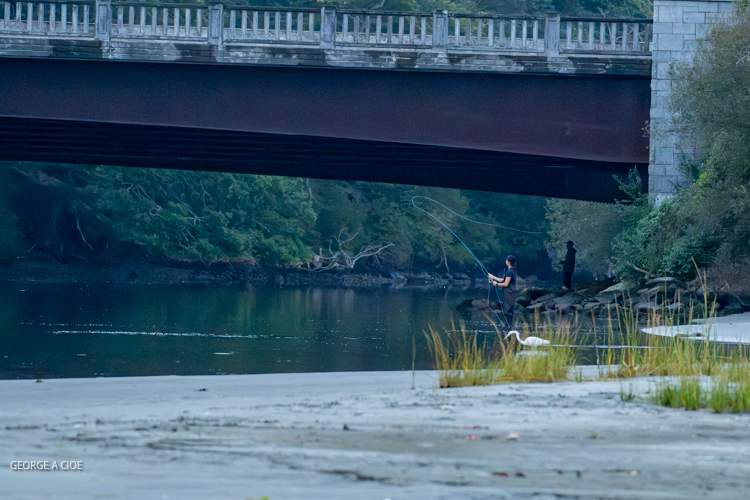 “Where It Begins” Fly Fishing on Narrow River