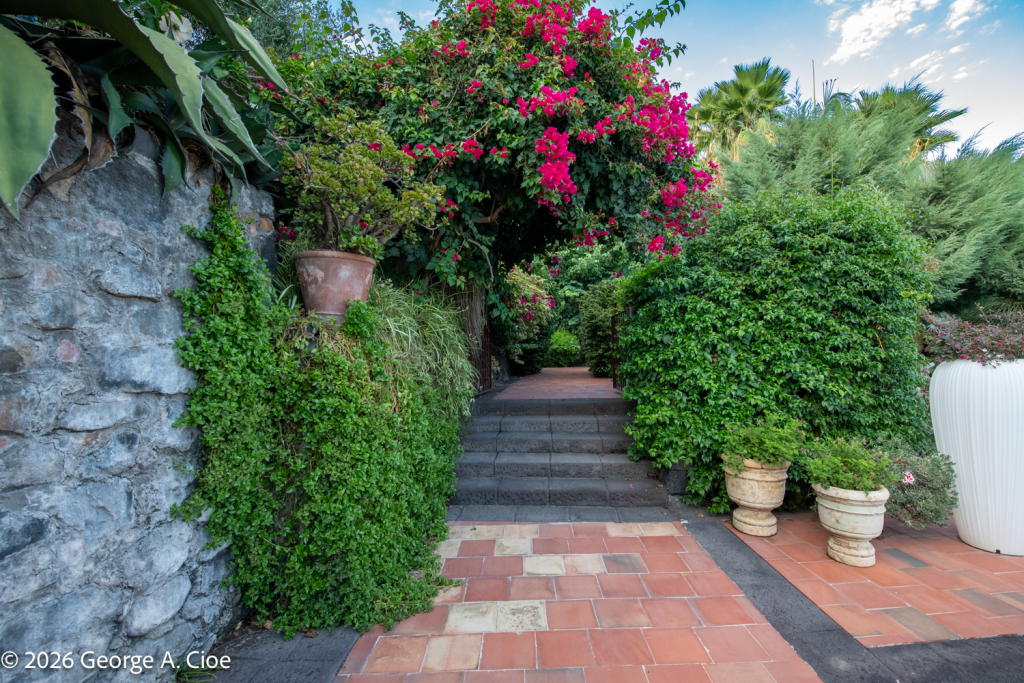 “The Garden Path” Don Arcangelo all’Olmo