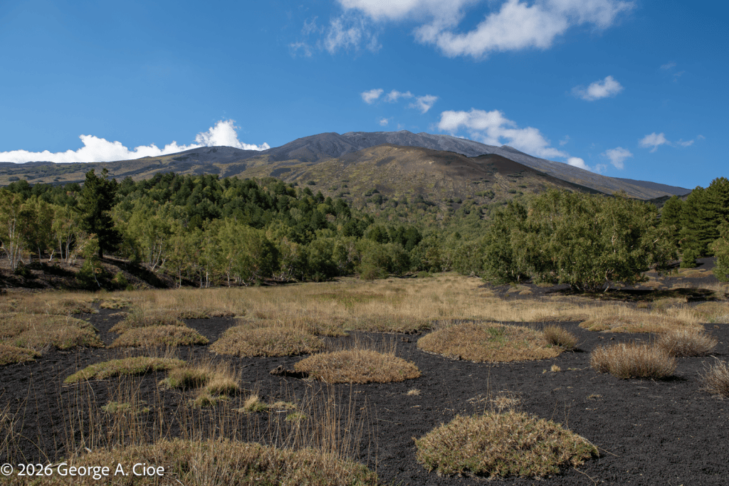 "Where Fire Makes Room for Life" Sicily