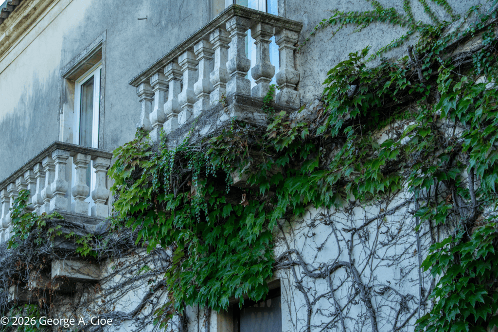 "When Nature Becomes Architecture" Don Arcangelo all’Olmo