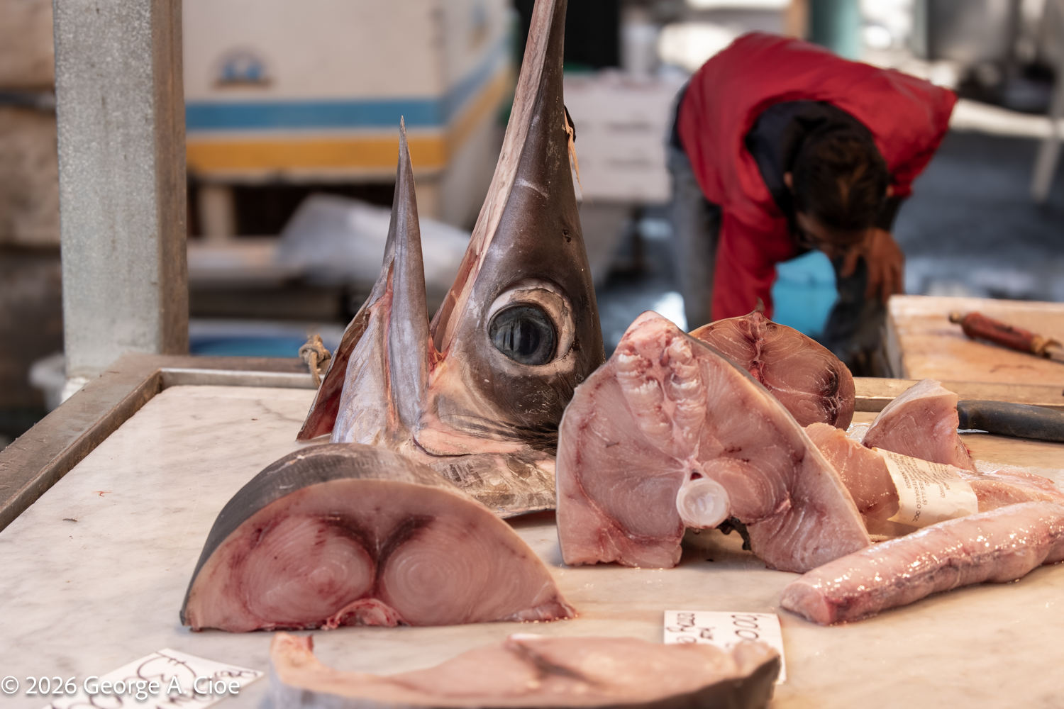 Catania Market: Where the Fish Are Fresh, the Streets Are an Adventure, and Everything Is for Sale